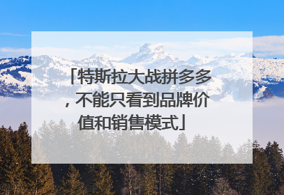 特斯拉大战拼多多，不能只看到品牌价值和销售模式