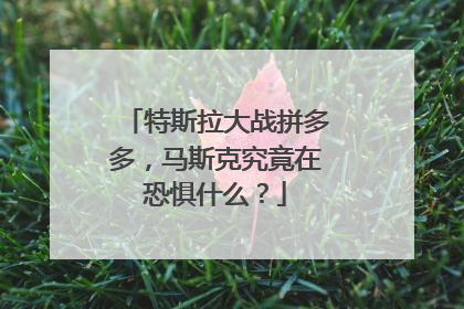 特斯拉大战拼多多，马斯克究竟在恐惧什么？