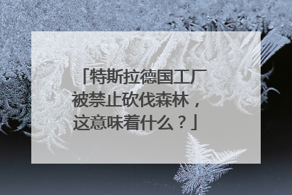 特斯拉德国工厂被禁止砍伐森林，这意味着什么？