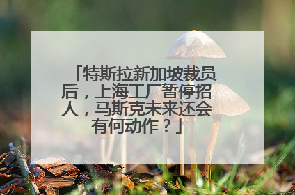 特斯拉新加坡裁员后，上海工厂暂停招人，马斯克未来还会有何动作？