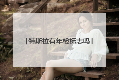 特斯拉有年检标志吗