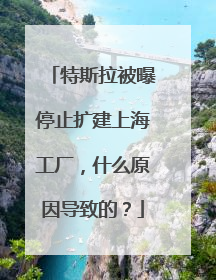 特斯拉被曝停止扩建上海工厂，什么原因导致的？