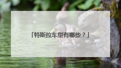 特斯拉车型有哪些？