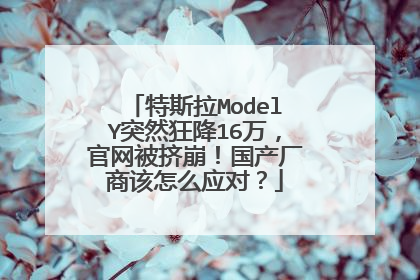 特斯拉ModelY突然狂降16万，官网被挤崩！国产厂商该怎么应对？