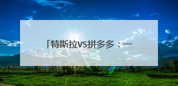 特斯拉VS拼多多：一个不愿打，一个不愿挨