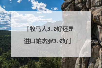 牧马人3.0好还是进口帕杰罗3.0好