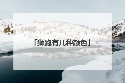 狮跑有几种颜色