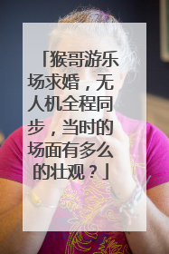 猴哥游乐场求婚，无人机全程同步，当时的场面有多么的壮观？