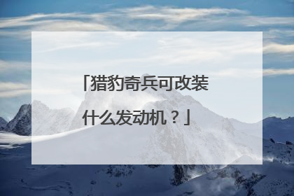 猎豹奇兵可改装什么发动机？