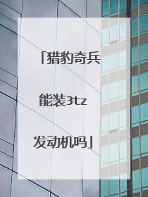 猎豹奇兵能装3tz发动机吗