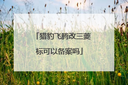 猎豹飞腾改三菱标可以备案吗