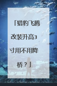 猎豹飞腾改装升高3寸用不用降桥？