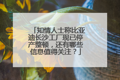 知情人士称比亚迪长沙工厂现已停产整顿，还有哪些信息值得关注？