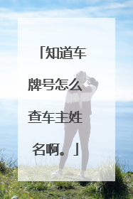 知道车牌号怎么查车主姓名啊。