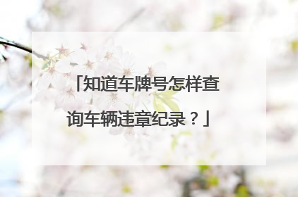 知道车牌号怎样查询车辆违章纪录？