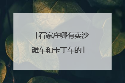 石家庄哪有卖沙滩车和卡丁车的
