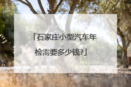 石家庄小型汽车年检需要多少钱?