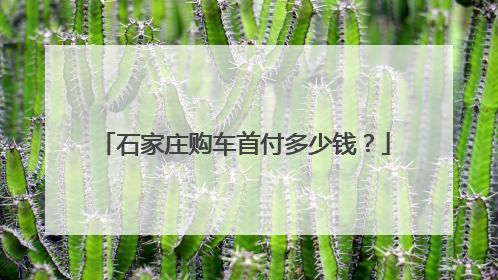 石家庄购车首付多少钱？
