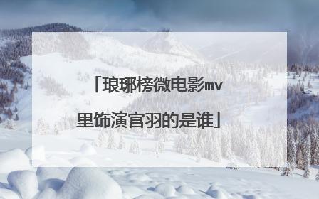 琅琊榜微电影mv里饰演宫羽的是谁