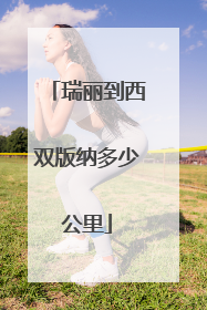 瑞丽到西双版纳多少公里