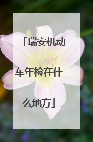 瑞安机动车年检在什么地方