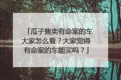瓜子售卖有命案的车大家怎么看？大家觉得有命案的车能买吗？
