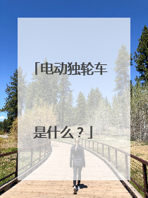 电动独轮车是什么？