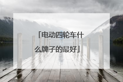 电动四轮车什么牌子的最好