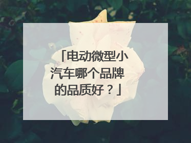 电动微型小汽车哪个品牌的品质好？