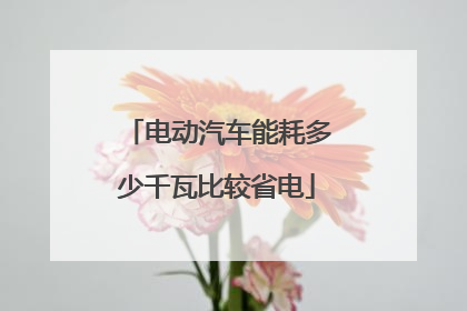 电动汽车能耗多少千瓦比较省电