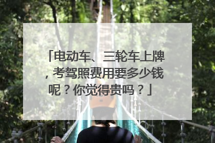 电动车、三轮车上牌，考驾照费用要多少钱呢？你觉得贵吗？