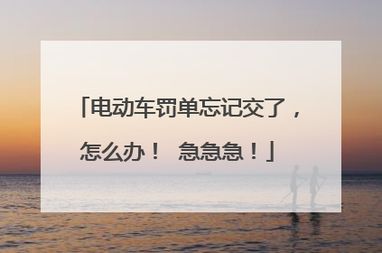 电动车罚单忘记交了，怎么办！ 急急急！