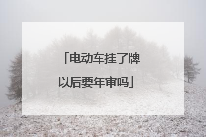 电动车挂了牌以后要年审吗
