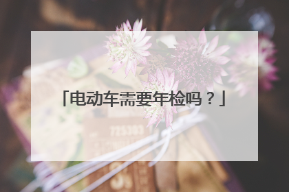 电动车需要年检吗？