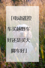 电动遥控车买越野车好还是买大脚车好
