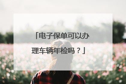 电子保单可以办理车辆年检吗？