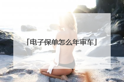 电子保单怎么年审车