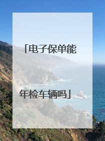 电子保单能年检车辆吗