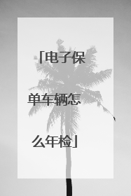 电子保单车辆怎么年检