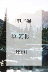 电子保单 河北 年审