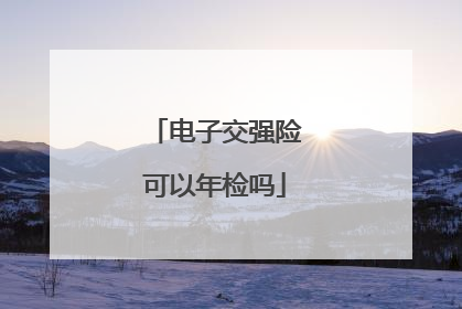电子交强险可以年检吗