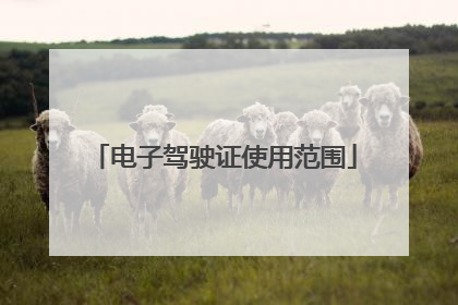 电子驾驶证使用范围