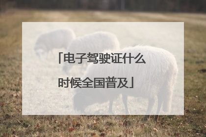 电子驾驶证什么时候全国普及