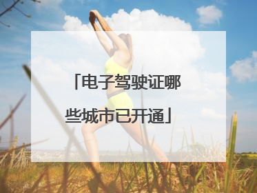 电子驾驶证哪些城市已开通