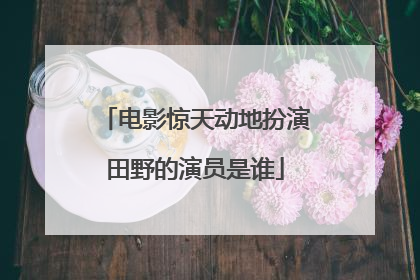 电影惊天动地扮演田野的演员是谁