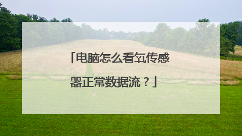 电脑怎么看氧传感器正常数据流？