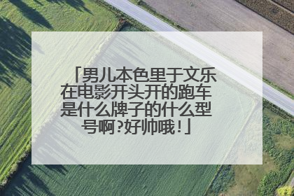 男儿本色里于文乐在电影开头开的跑车是什么牌子的什么型号啊?好帅哦!