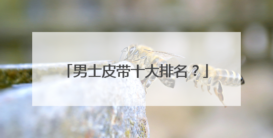 男士皮带十大排名？