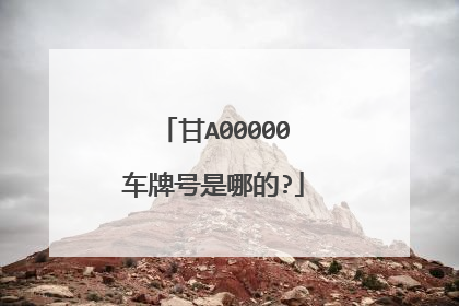 甘A00000车牌号是哪的?