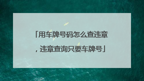 用车牌号码怎么查违章，违章查询只要车牌号